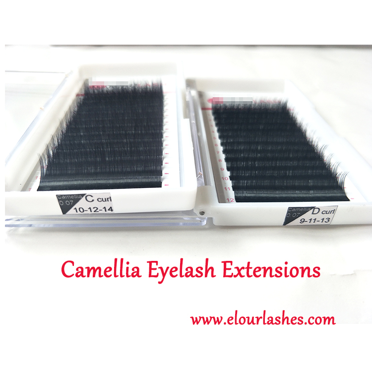 High quality volume camellia eyelash extensions mixed length China manufacturer EL26